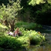 Creek picnic