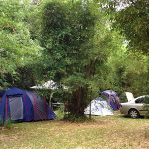 Camping Camping