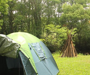 Camp it up over summer at Revelwood