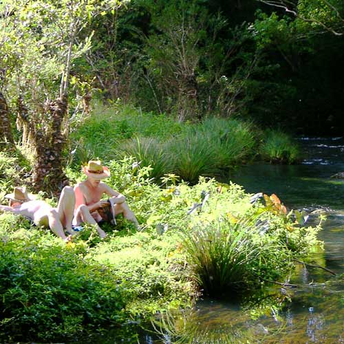 Picnic Picnic