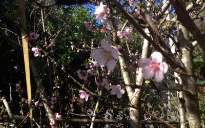 Spring is in the air