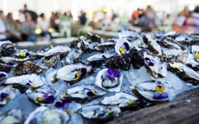 Food Orgy at Sample Food Festival Sat Sep 5